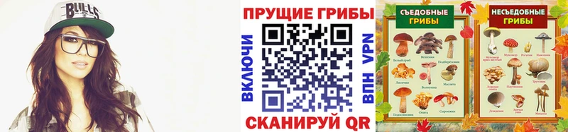 Галлюциногенные грибы мухоморы  дарнет шоп  Киселёвск 