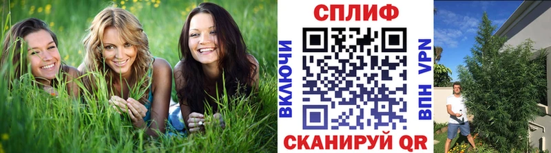 Бошки марихуана White Widow  Киселёвск 
